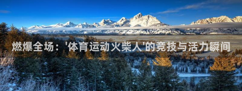米兰体育官方正版app新能源