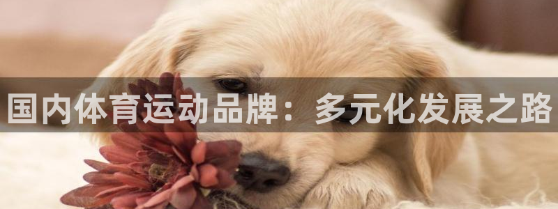 米兰体育官网下载平台是正规平台吗安全吗