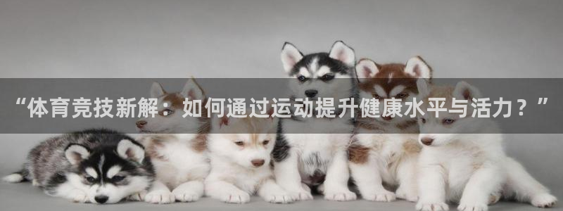 米兰体育官方正版app集团官网首页网址：“体育竞技新解：如何