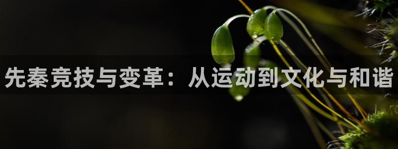 米兰体育官方正版app集团简介：先秦竞技与变革：从运动到文化