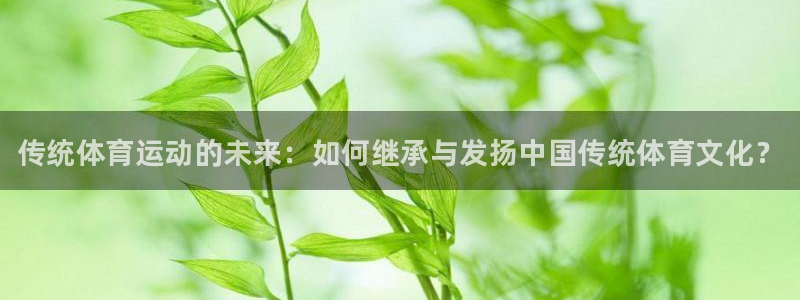 米兰体育官网下载平台注册流程图：传统体育运动的未来：