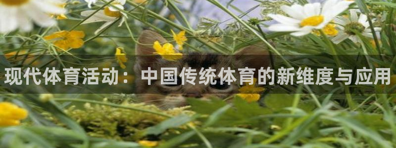 米兰体育官网下载平台是正规平台吗