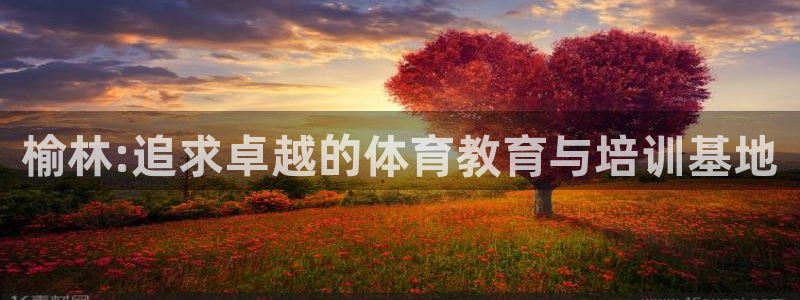 米兰体育官网下载娱乐：榆林:追求卓越的体育教育与培训基地