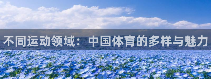 德国米兰体育官方正版app集团