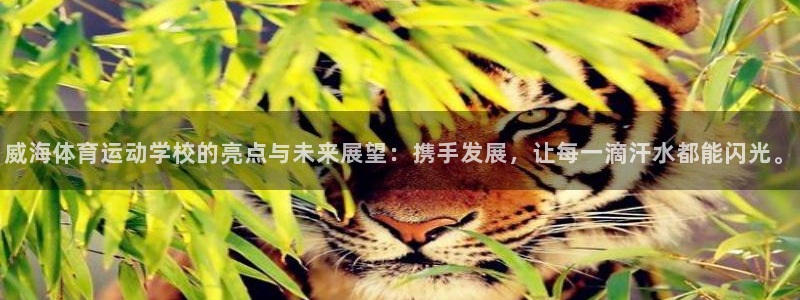 米兰体育官方平台体育：威海体育运动学校的亮点与未来展望：携手