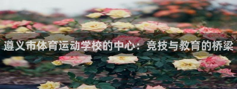 米兰体育官方集团官网：遵义市体育运动学校的中心：竞技与教育的
