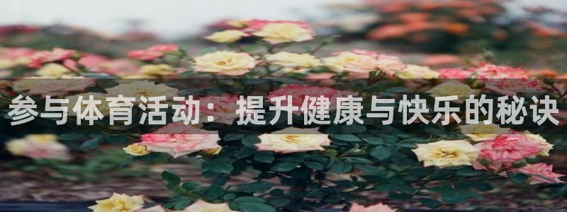 米兰体育官网下载招商电话号码查询：参与体育活动：提升