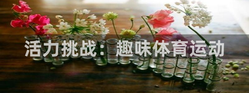 米兰体育官方正版app娱乐网站：活力挑战：趣味体育运
