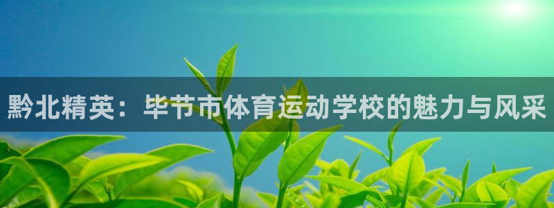 米兰体育官方正版app代理：黔北精英：毕节市体育运动