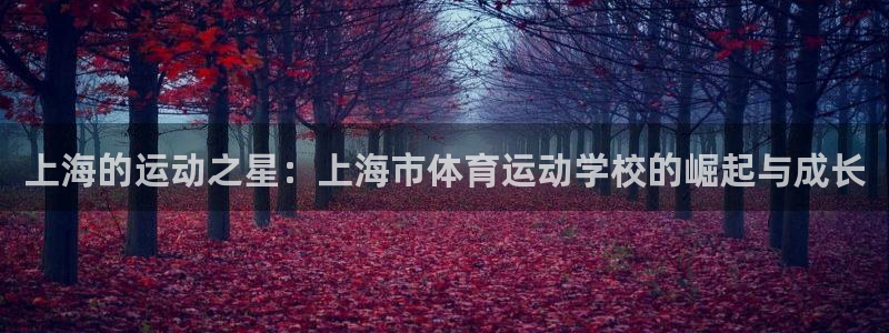 米兰体育官网下载平台注册：上海的运动之星：上海市体育