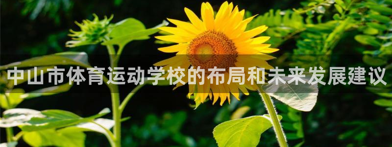 米兰体育官网下载招商电话是多少：中山市体育运动学校的