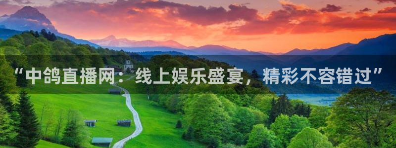 蓝鲸的视频真实