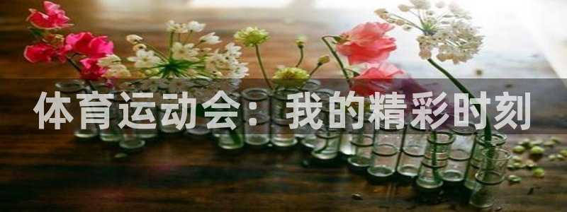 米兰体育锁定钱包解除方法：体育运动会：我的精彩时刻