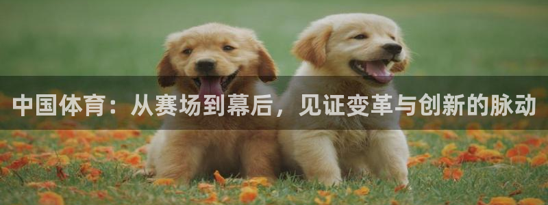  米兰体育报法国大使道歉：中国体育：从赛场到幕后，见证变革与创
