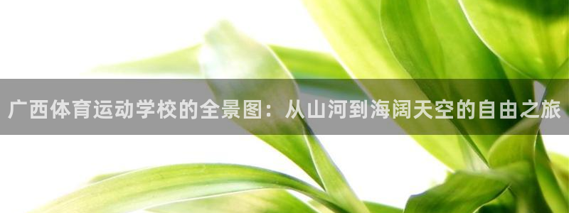 米兰体育宣布罗纳尔迪尼奥出任品牌大使了吗：广西体育运动学校的
